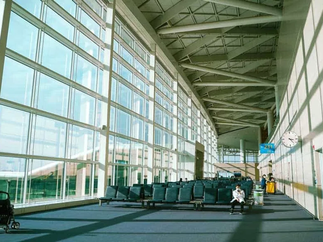 volver a España vacunado