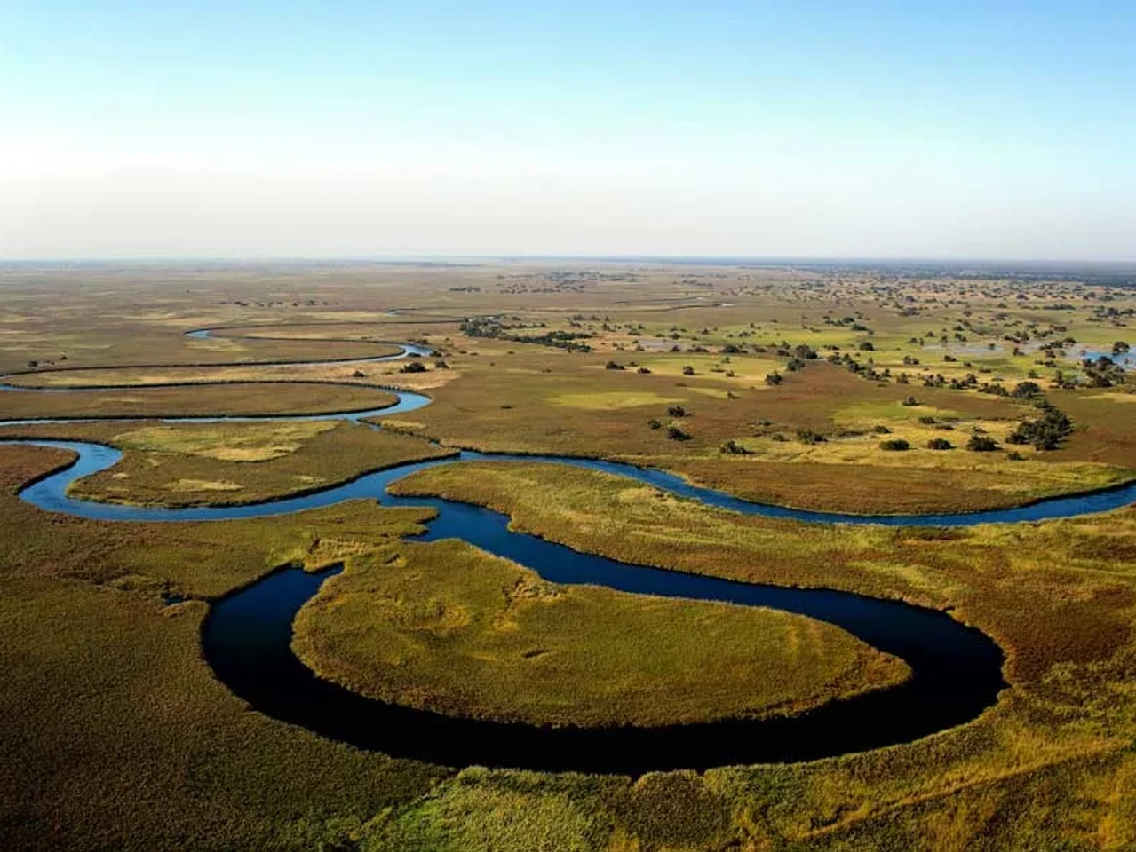 Delta del Okavango