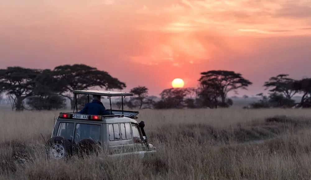 Qué hacer en Tanzania