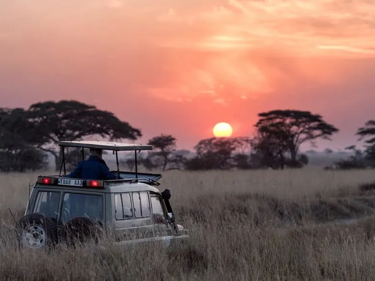 Qué hacer en Tanzania