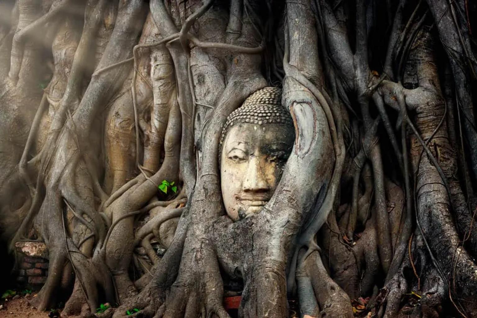pormenor do templo de ayutthaya na tailandia