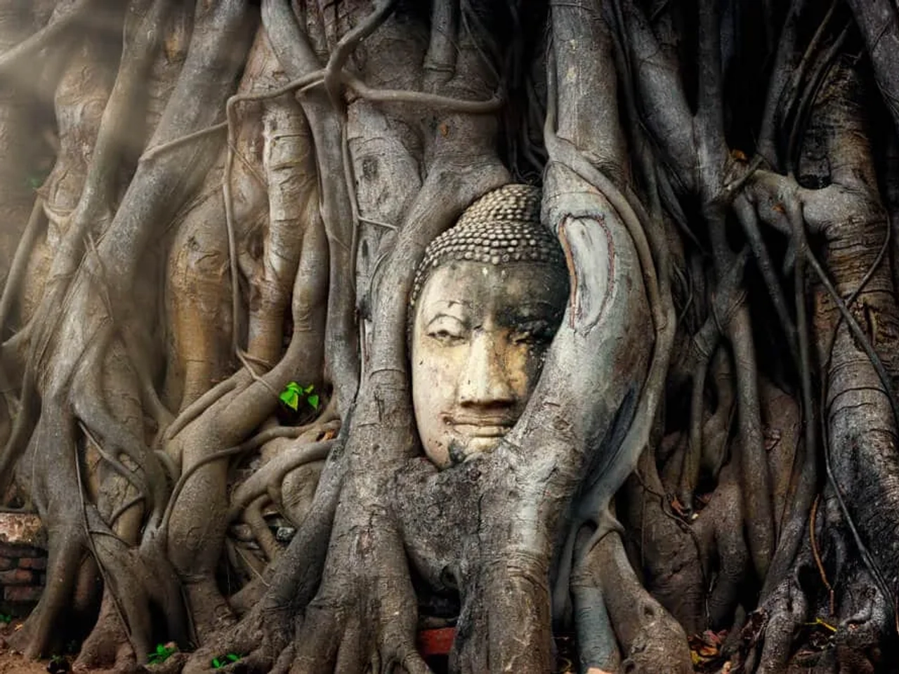 pormenor do templo de ayutthaya na tailandia
