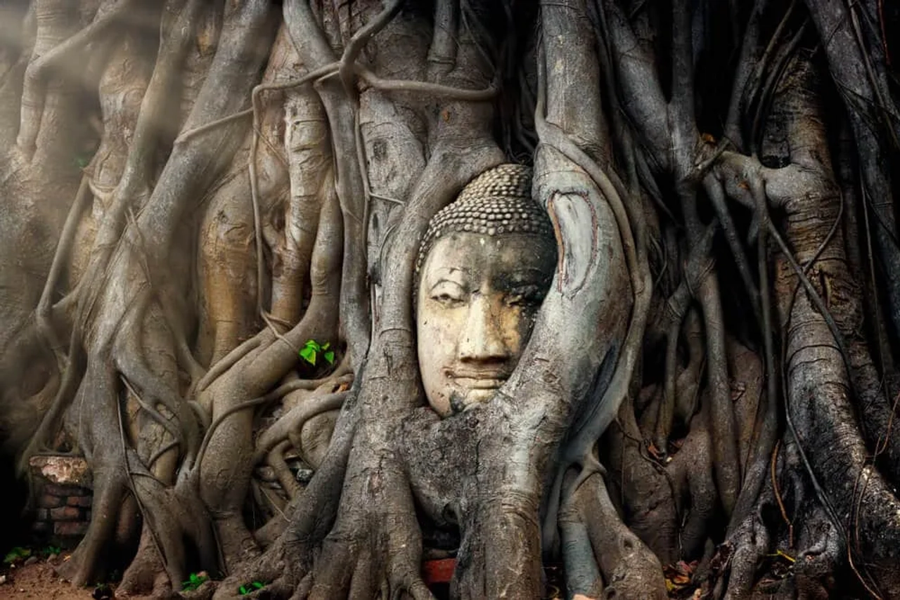 pormenor do templo de ayutthaya na tailandia