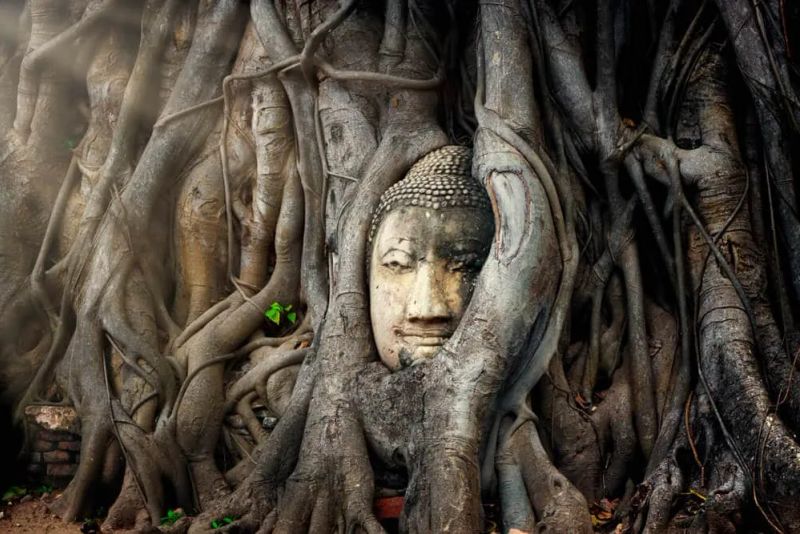 Os melhores destinos do Sudeste Asiático: 17 atrações imperdíveis