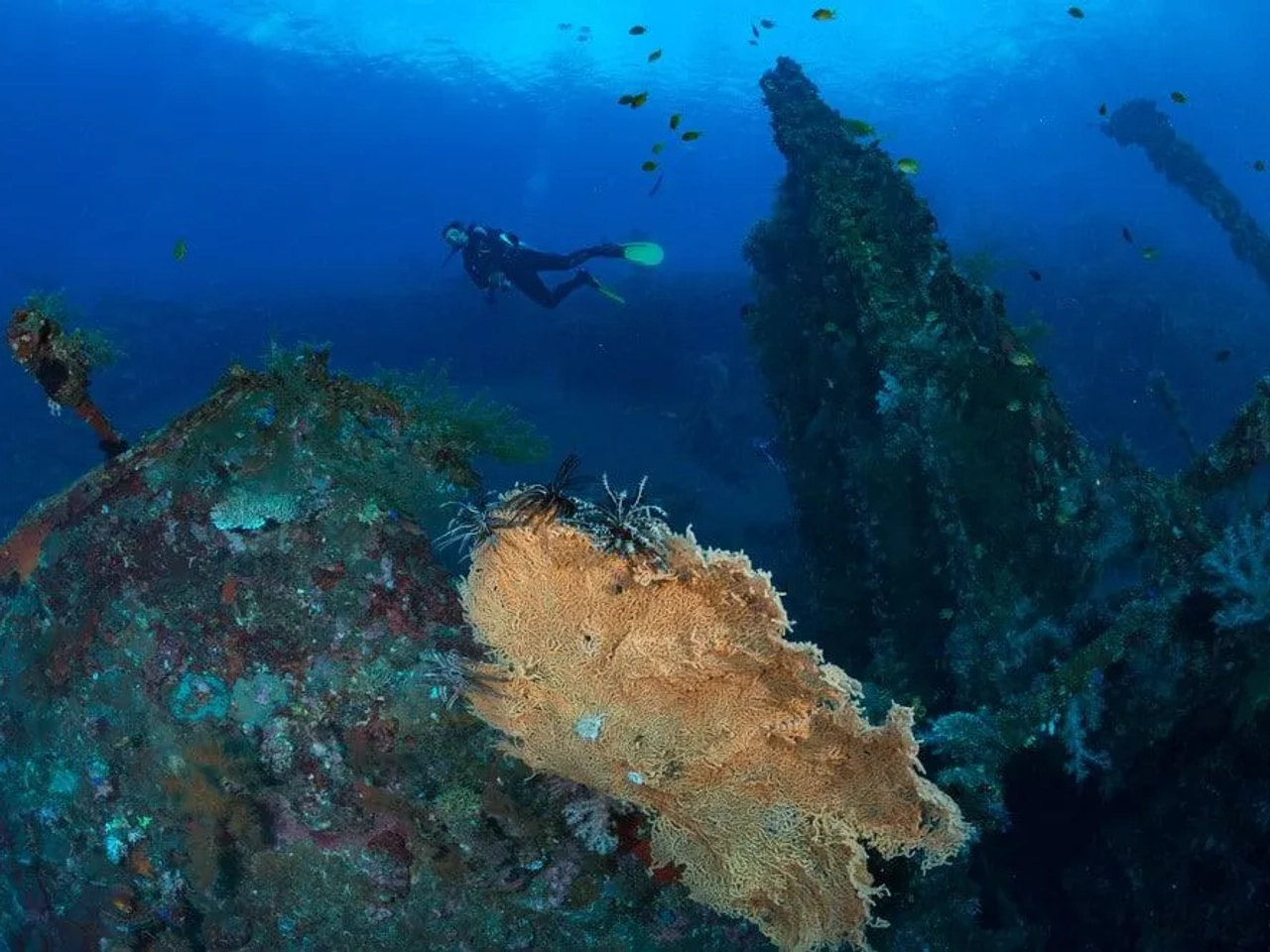 donde bucear en Bali, Indonesia