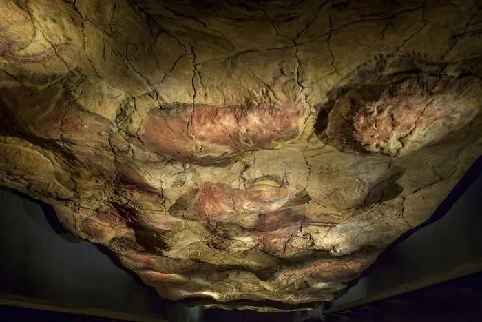 Techo de las Cuevas de Altamira con pinturas rupestres en tonos rojizos y marrones.