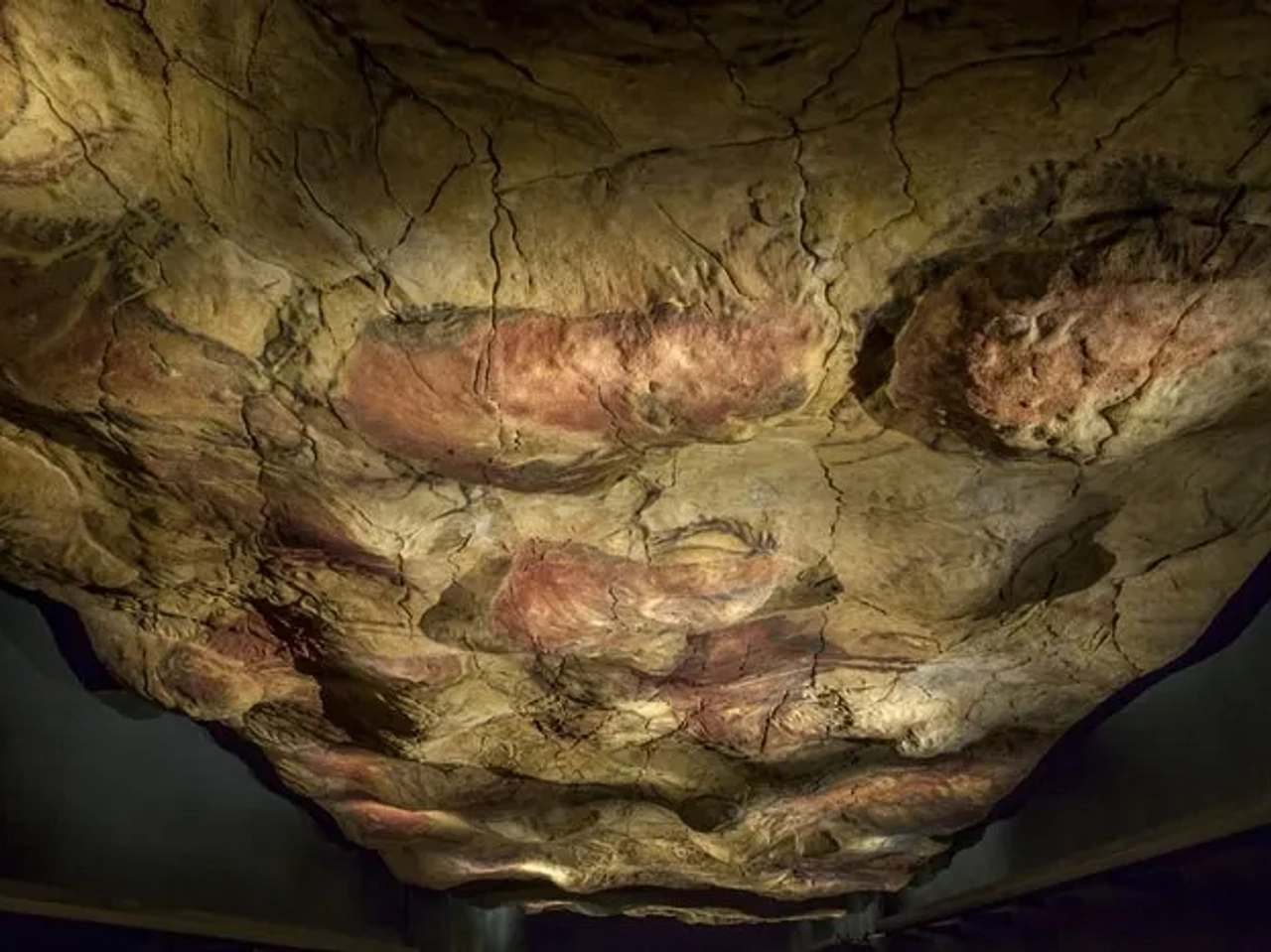 Techo de las Cuevas de Altamira con pinturas rupestres en tonos rojizos y marrones.