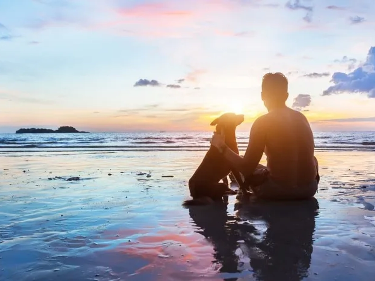 playas permitidas para perros