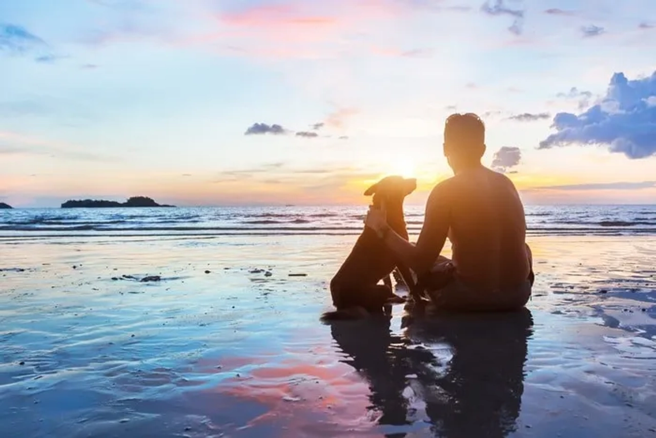 playas permitidas para perros