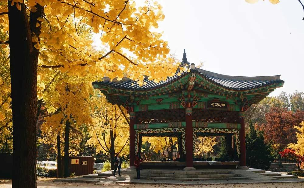 Dónde dormir en Corea del Sur