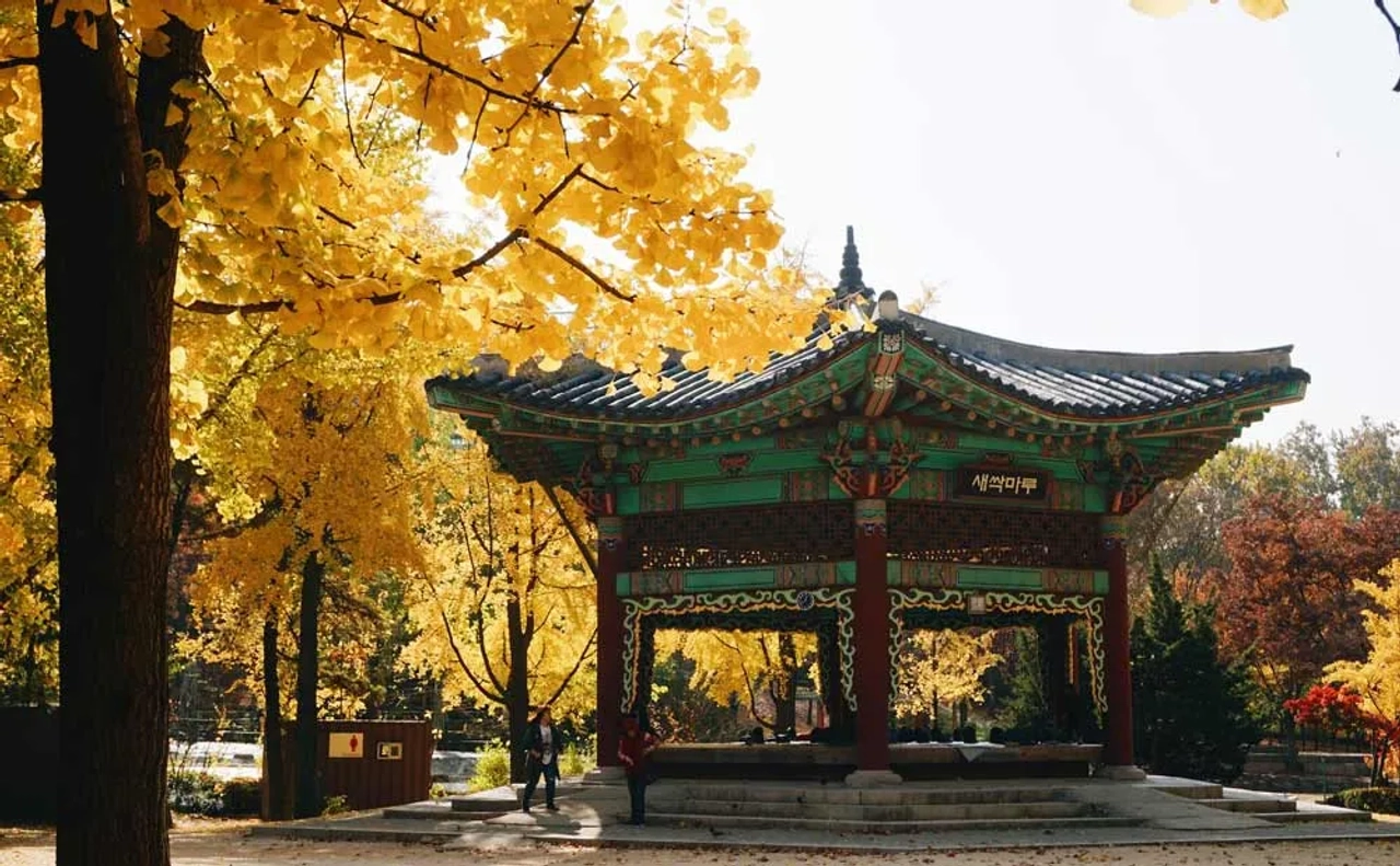 Dónde dormir en Corea del Sur