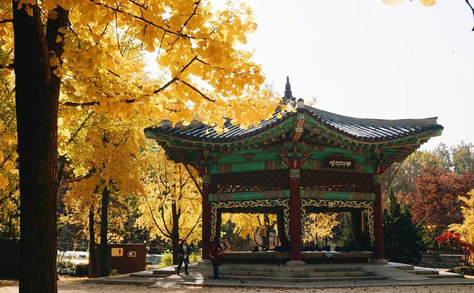 Dónde dormir en Corea del Sur