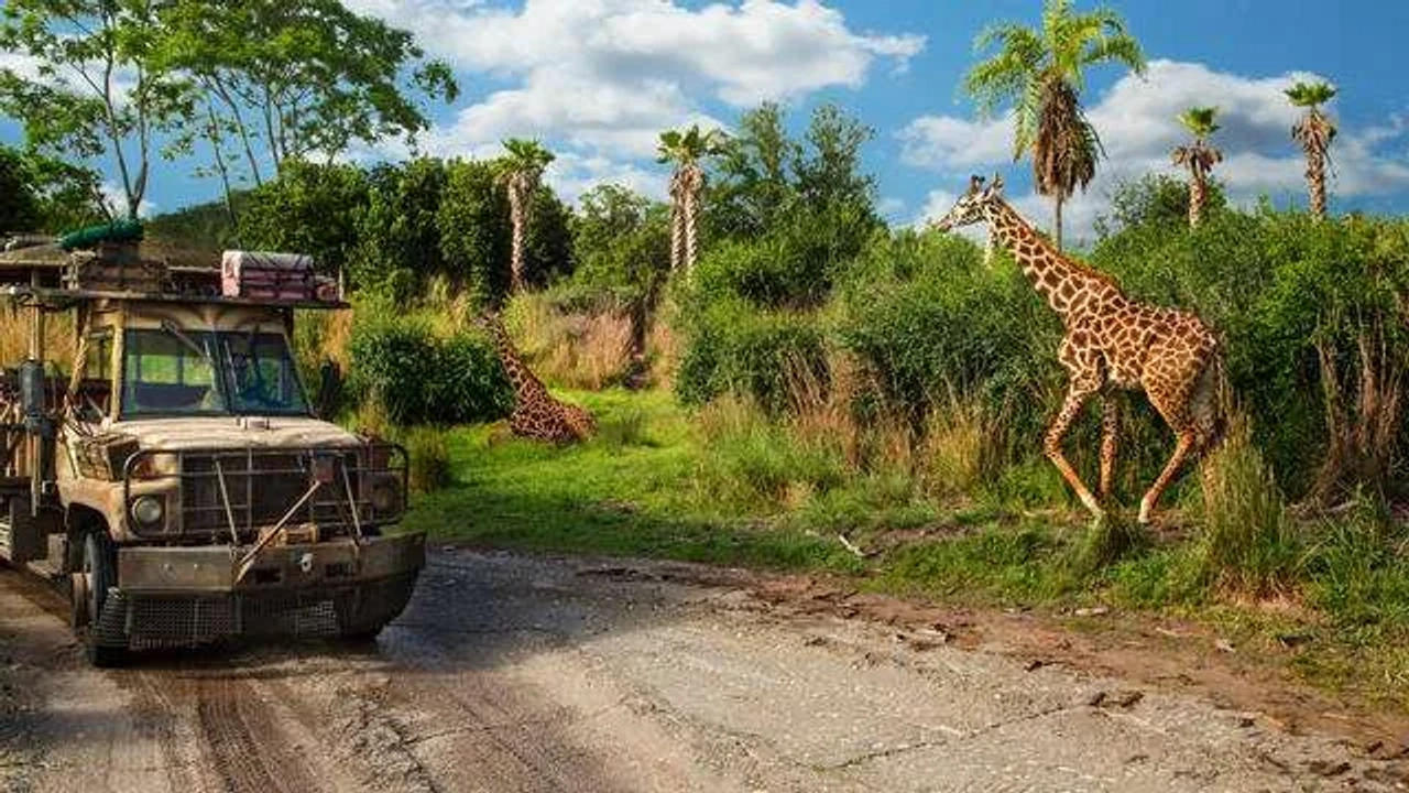Visitar Tanzania