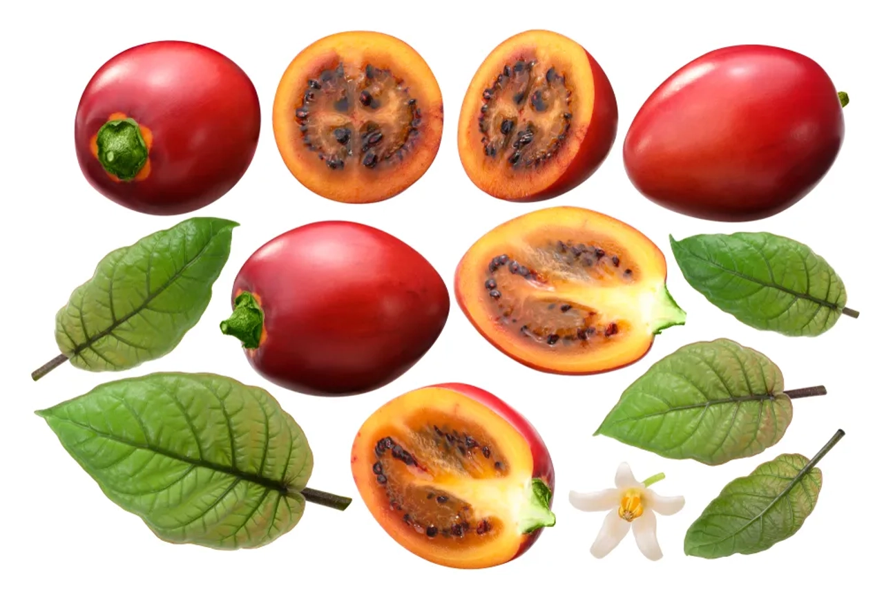varios tamarilhos cortados a meio