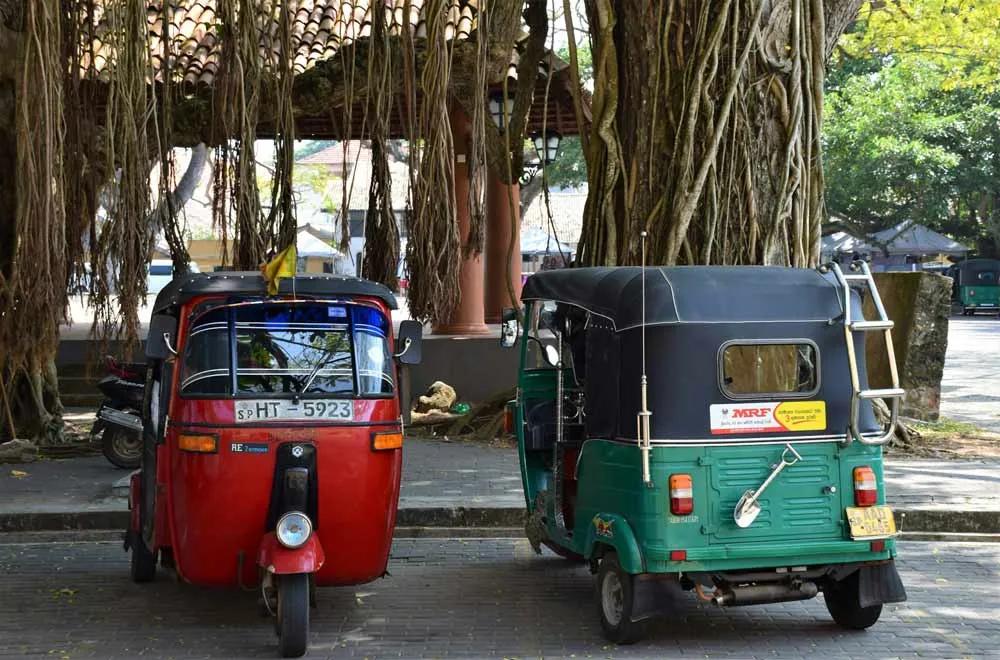 alquilar tuktuk en Sri Lanka