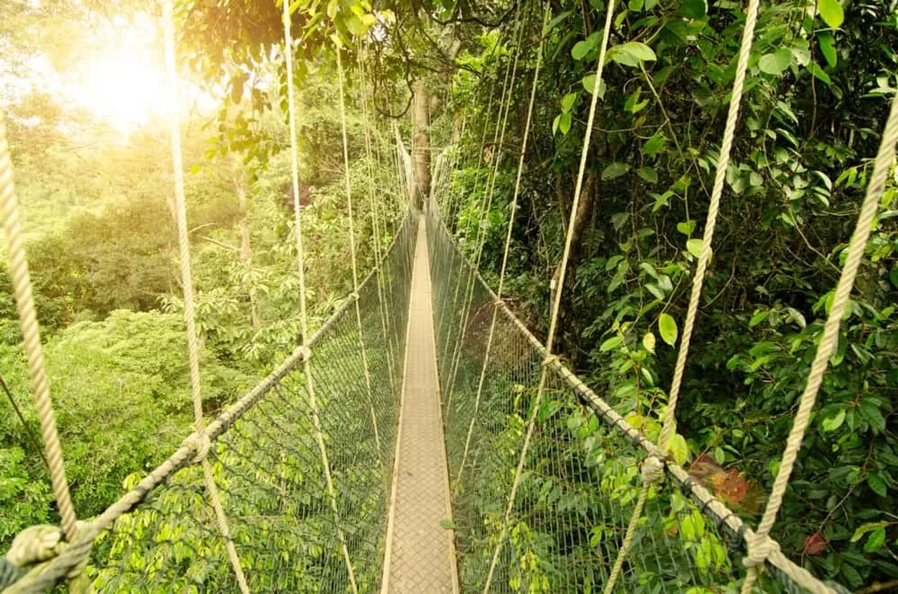 Taman Negara, que ver en Malasia