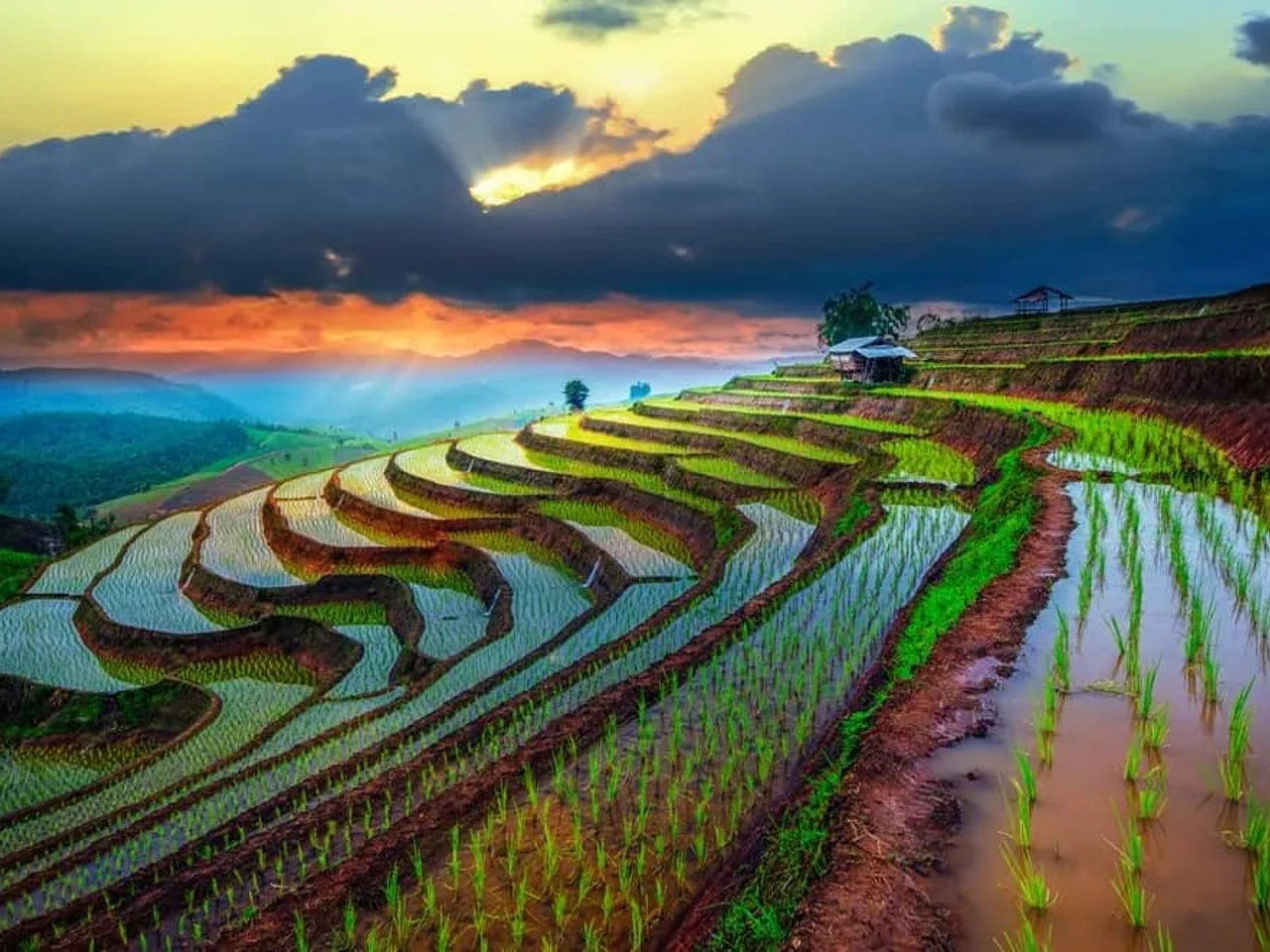 que hacer en Tailandia