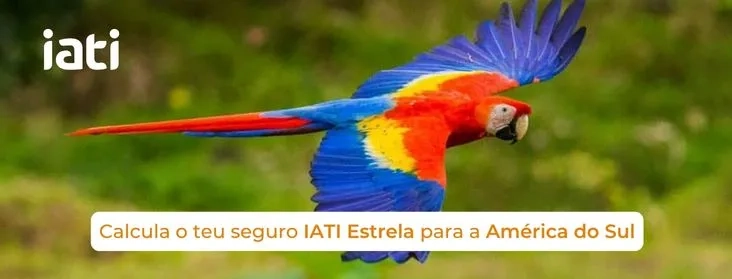 "Calcule seu seguro de viagem IATI para a América do Sul!"