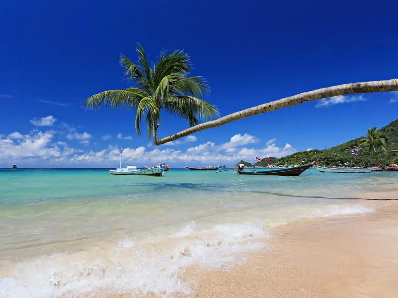 praia tipica da tailandia, com palmeiras e barcos
