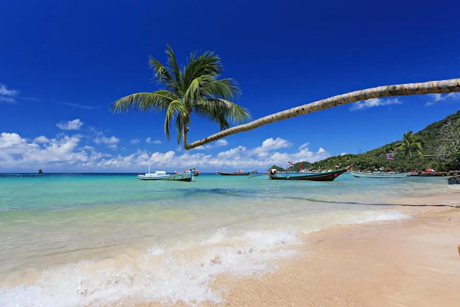 praia tipica da tailandia, com palmeiras e barcos