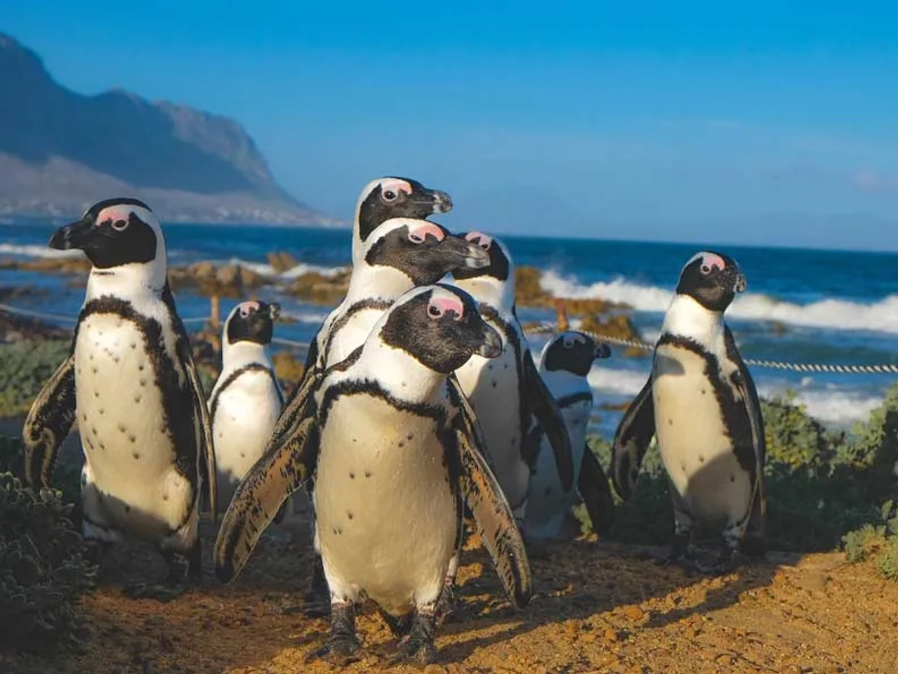 consejos para viajar a Sudáfrica