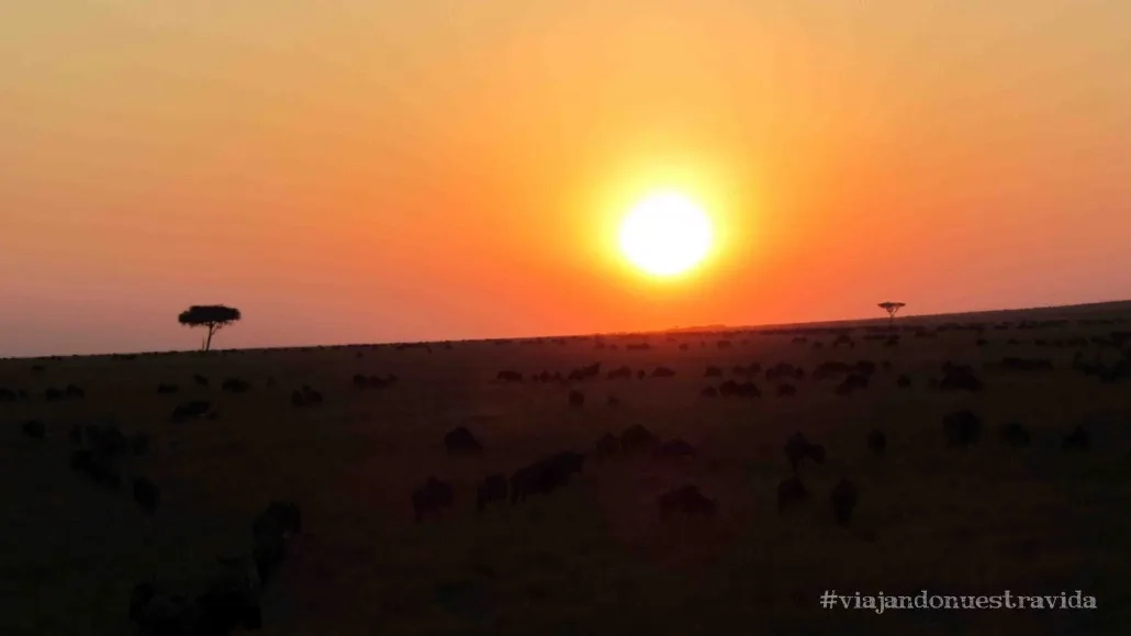 Masai Mara África