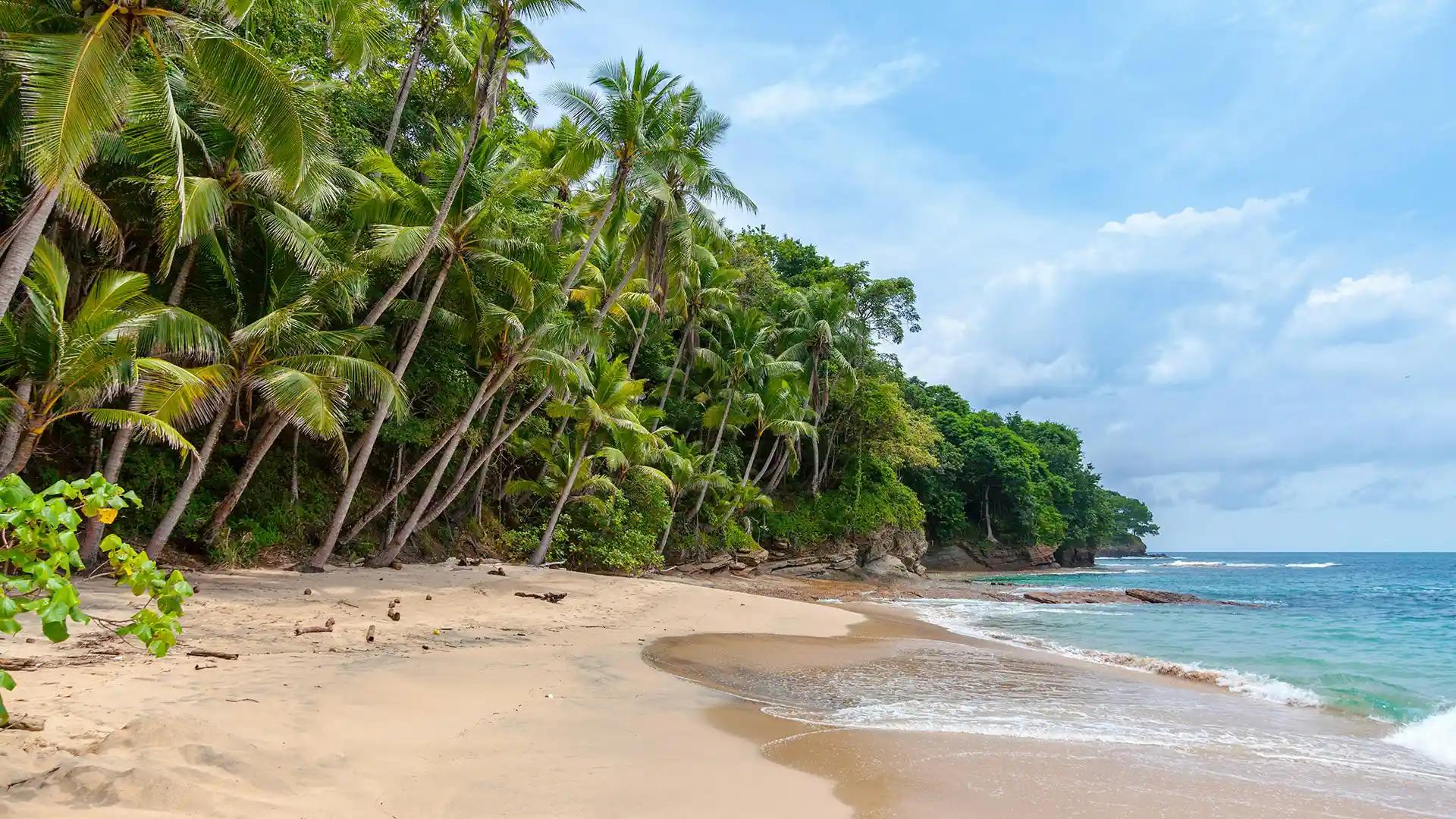 una playa durante un viaje a panama