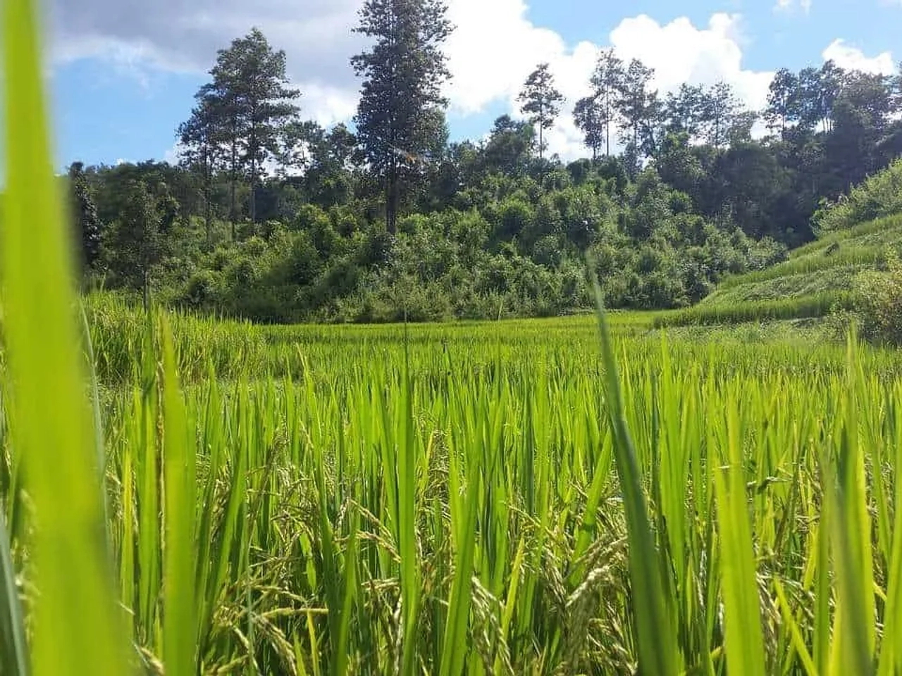 Seguro de viaje Tailandia