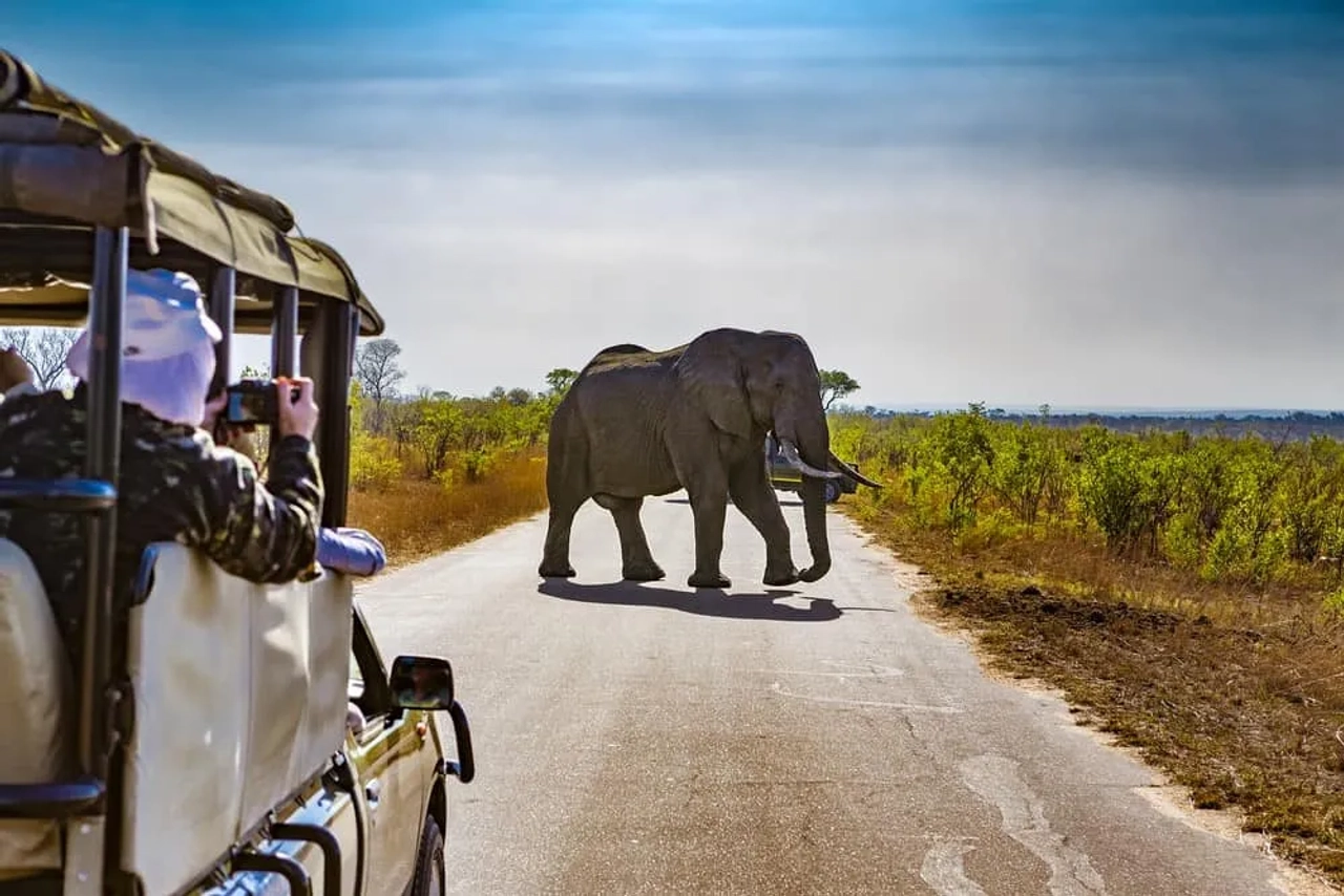 viaje en verano a Sudáfrica