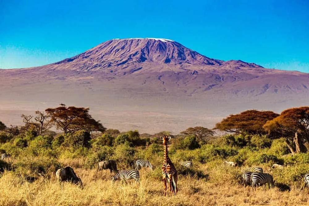 Visitar el Parque Nacional del Kilimanjaro
