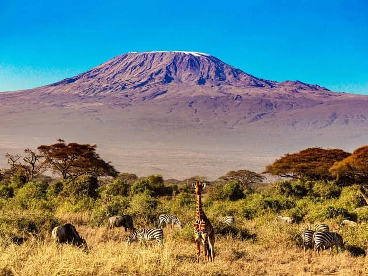 Visitar el Parque Nacional del Kilimanjaro