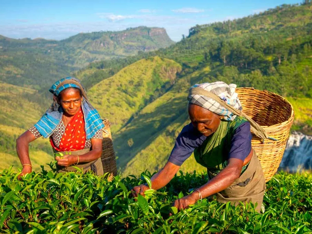 Sri Lanka para mujeres