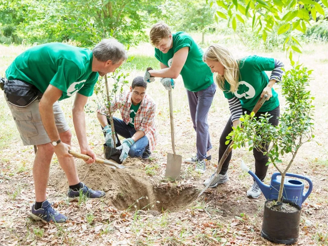Viajar haciendo voluntariado