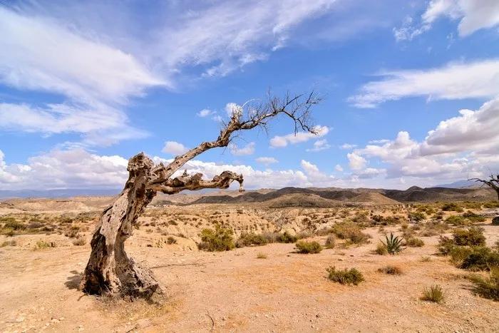 Desierto de Tabernas, Almería