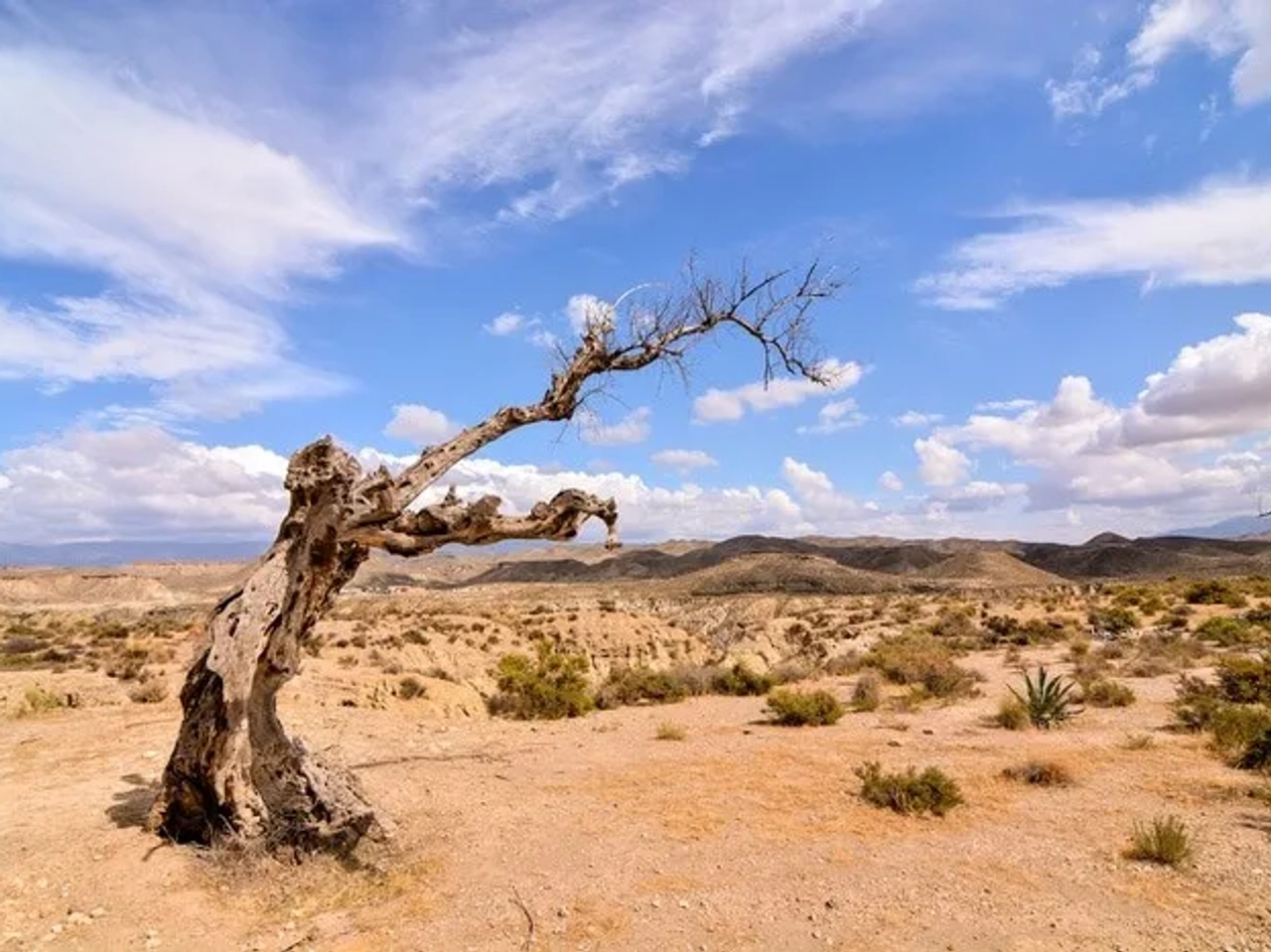 Desierto de Tabernas, Almería