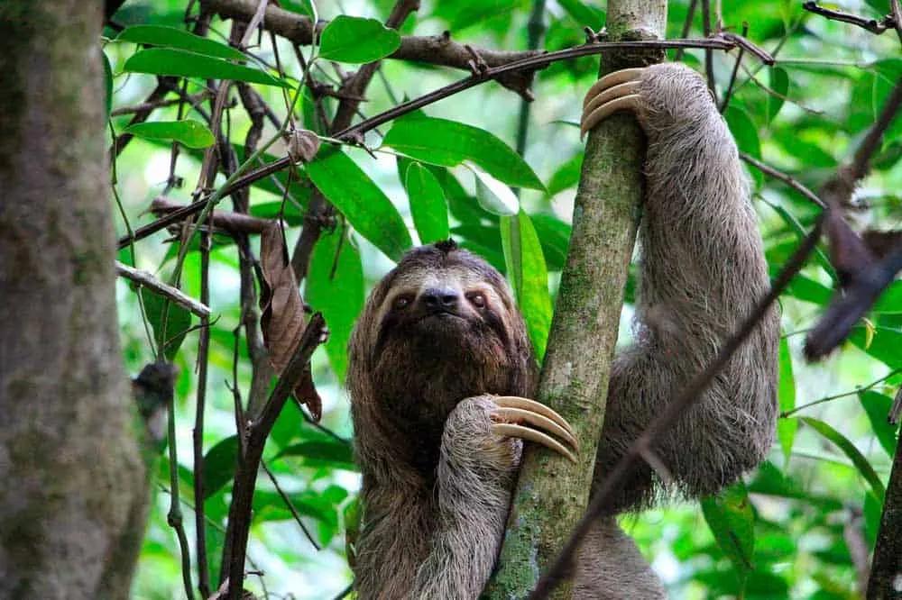 Qué ver y hacer en costa Rica