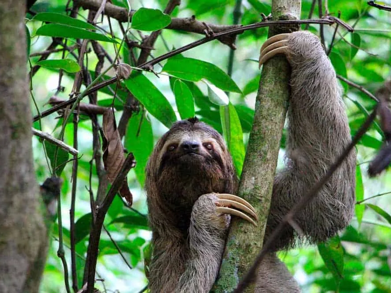 Qué ver y hacer en costa Rica