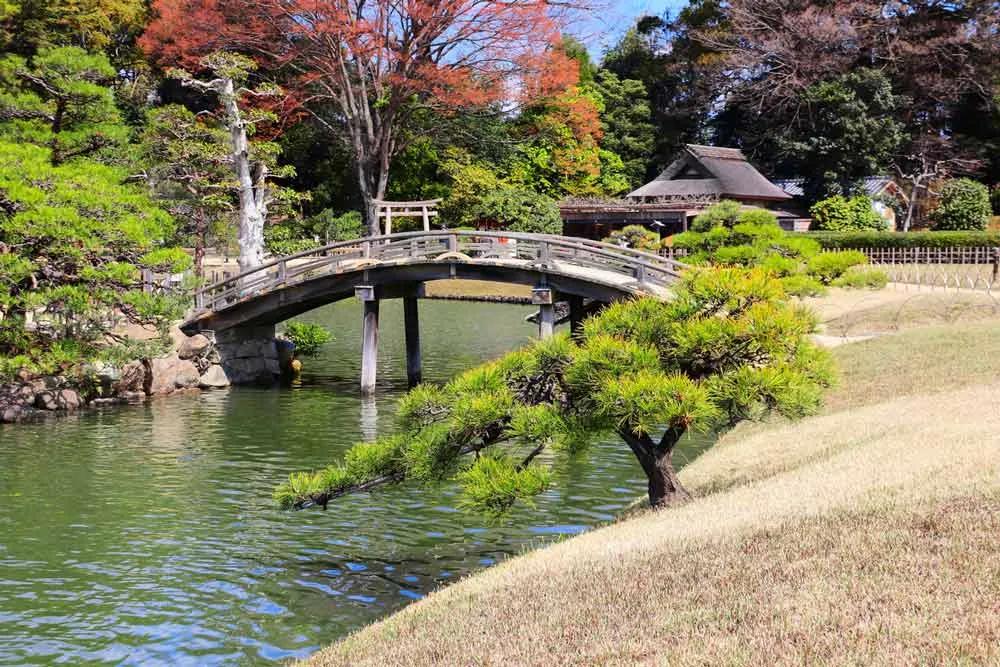 los preciosos jardines de Japón