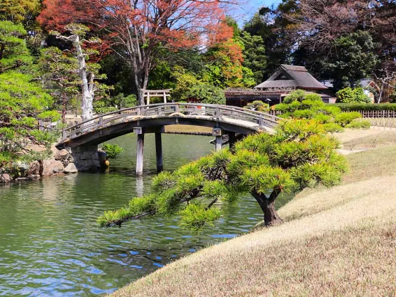 los preciosos jardines de Japón