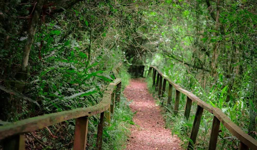 Parque Nacional de los Arrayanes