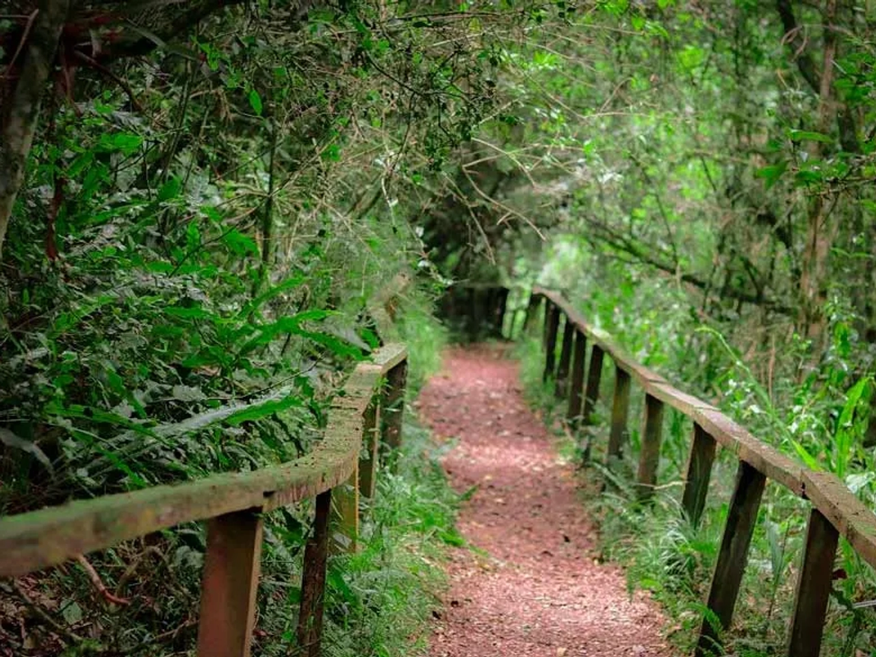 Parque Nacional de los Arrayanes