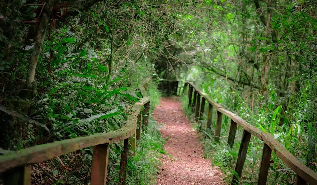 Parque Nacional de los Arrayanes