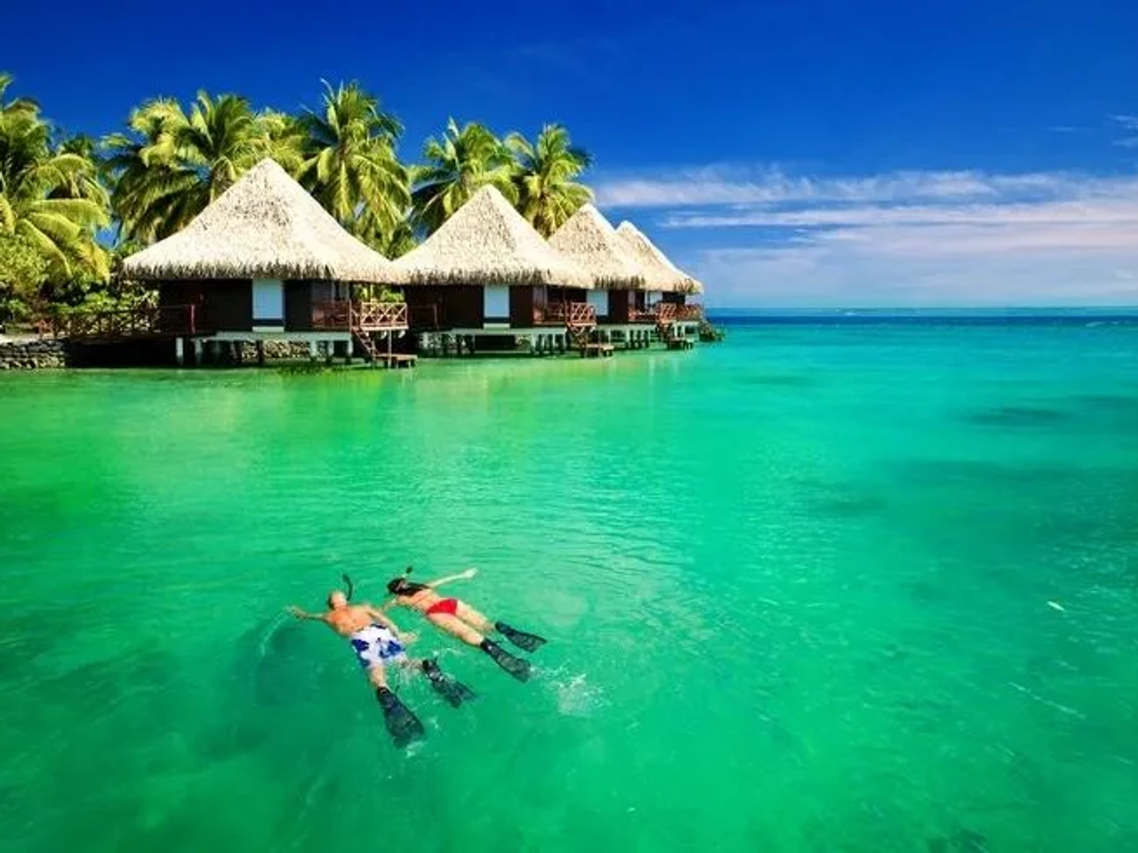 Como encontrar voos baratos - img5