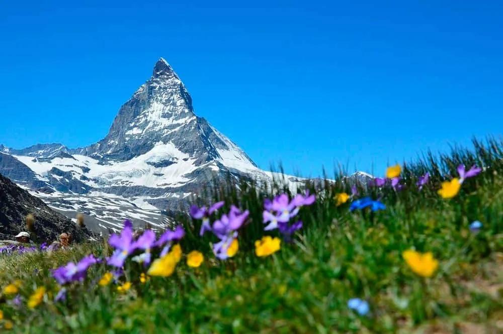 requisitos para viajar a Suiza