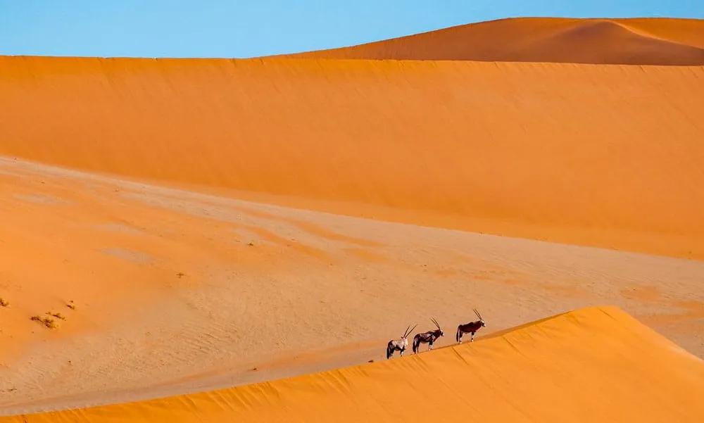 requisitos para viajar a Namibia