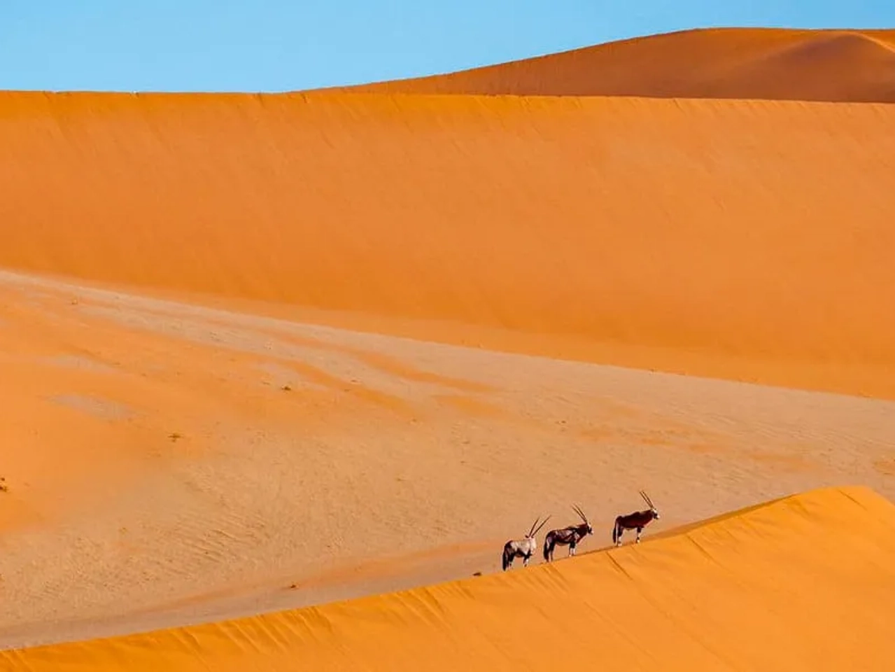 requisitos para viajar a Namibia