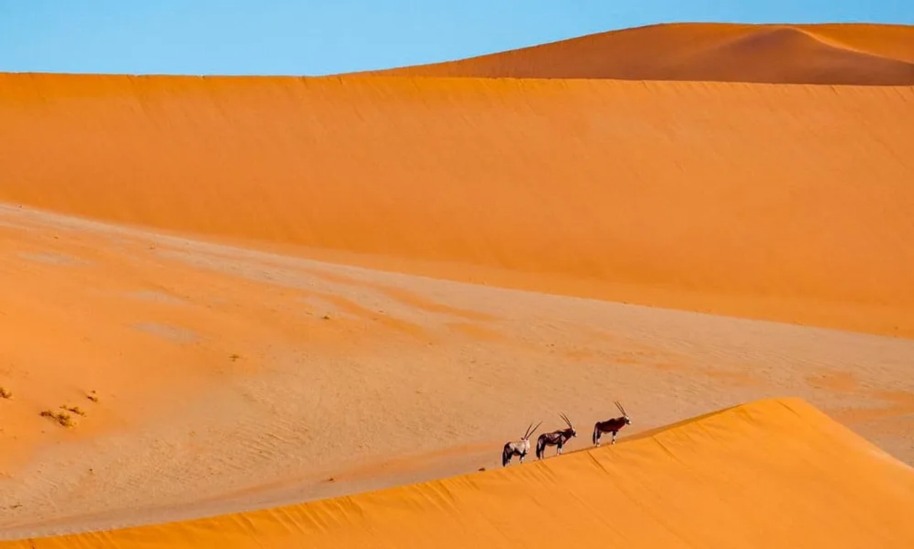 requisitos para viajar a Namibia
