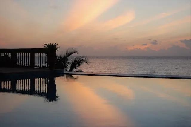infinity pool near the sea with a palm tree in zanzibar