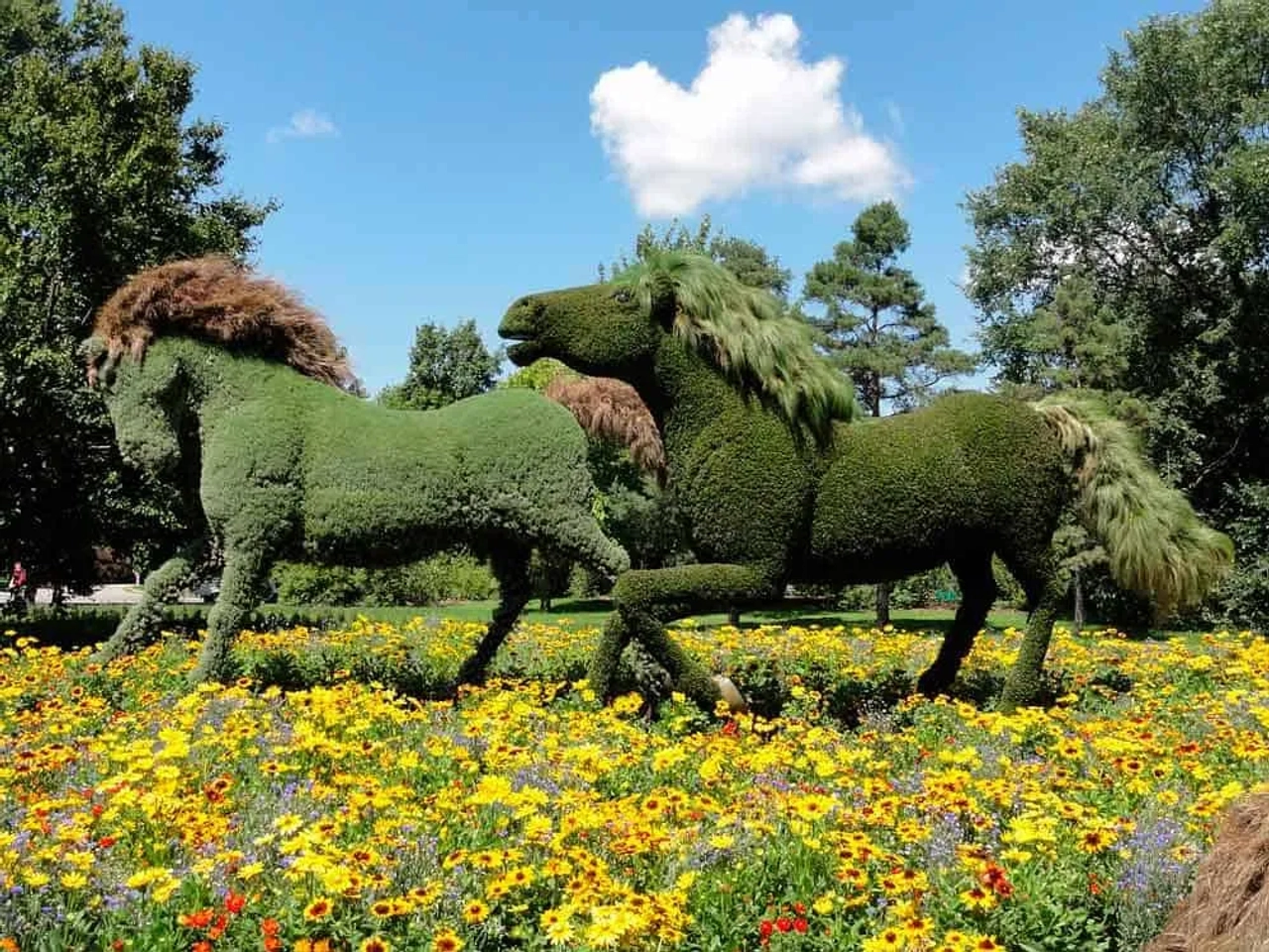 visitar el Jardín Botánico