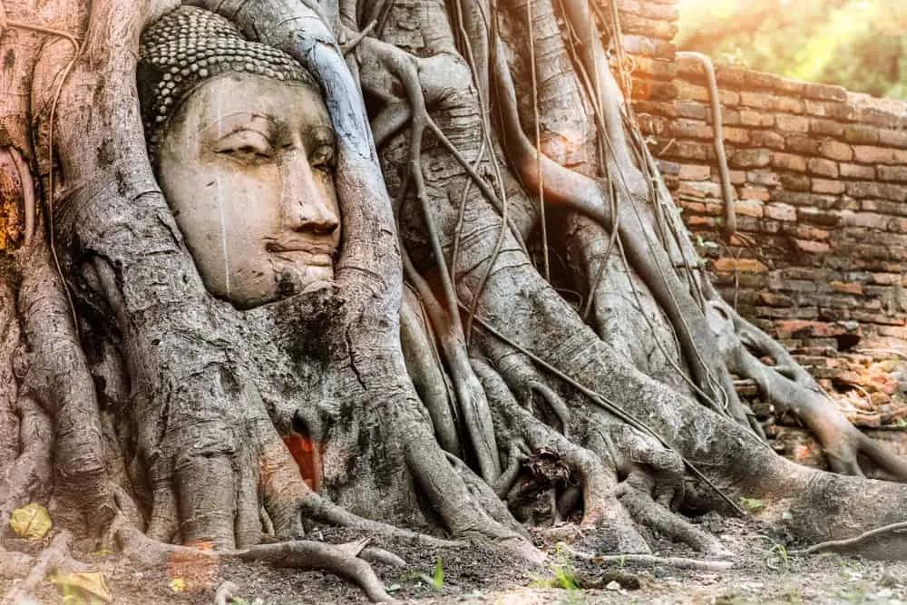 Ayutthaya y Sukotai para ver en Tailandia
